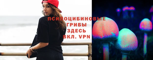 дурь Корсаков