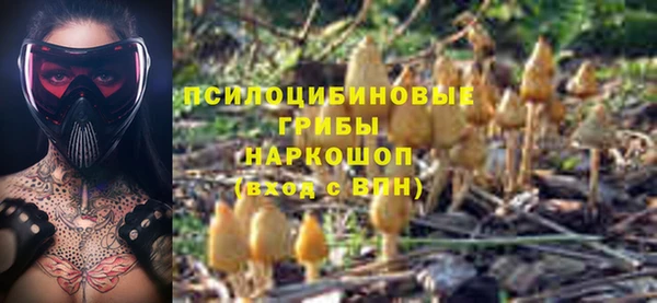 гашиш Коряжма