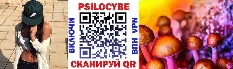 дарнет шоп Химки Галлюциногенные грибы Magic Shrooms