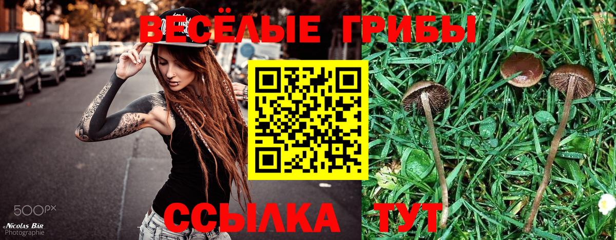 Галлюциногенные грибы Cubensis  Вход с VPN  Химки  купить  сайты  Галлюциногенные грибы Magic Shrooms 